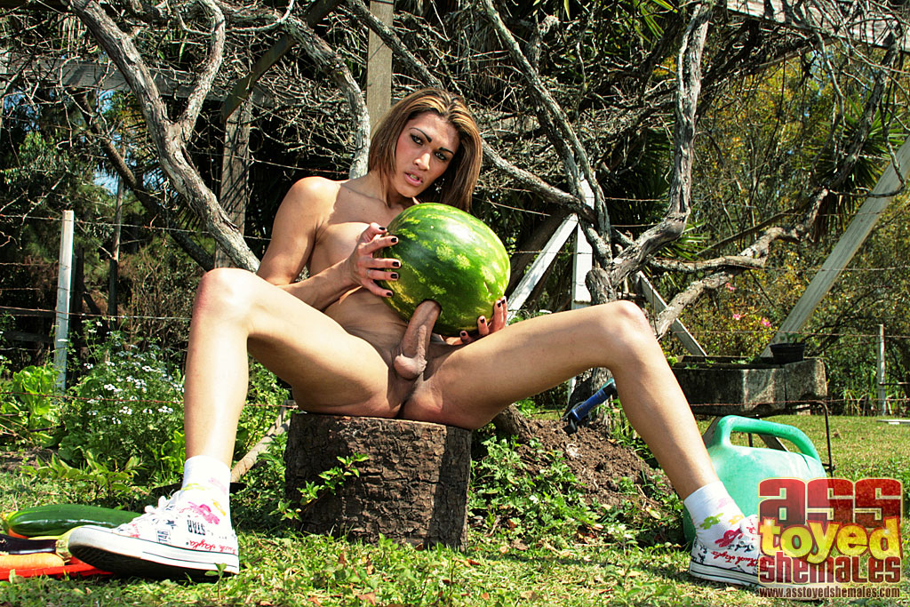 Shemale Fucking A Watermelon - Tranny Fucks Melon