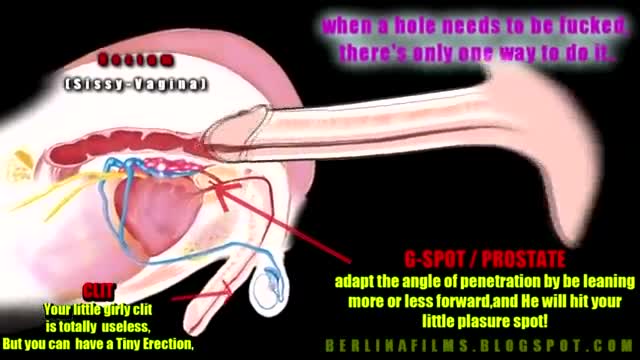 videos Transvestite anatomy